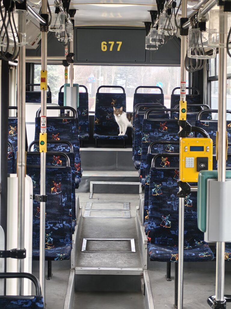 Autobus plan filmowy